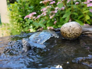 Impressionen 6
