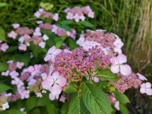 Impressionen 8